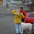 Wandertag 2019 - 006